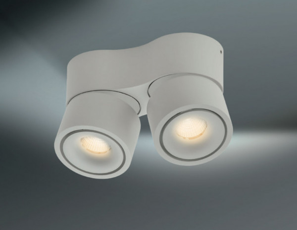 Double LED Mini-Spot rotatable and swiveling optionally in the surfaces white or black